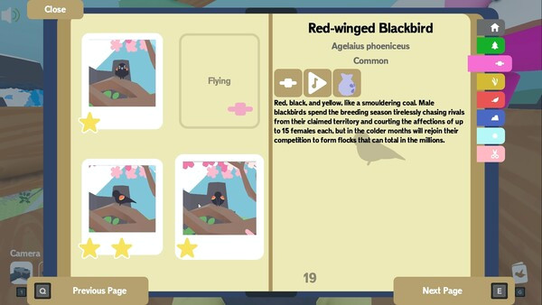 Игра Flock Around, скриншот