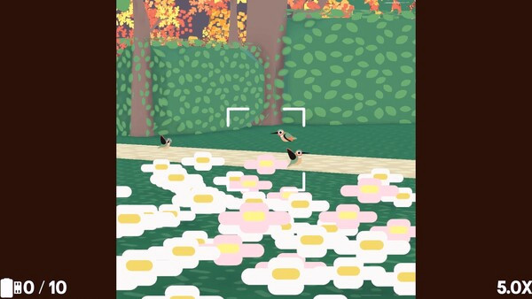 Игра Flock Around, скриншот