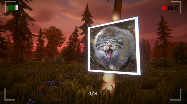 Игра Floppa: The Dark Forest, скриншот