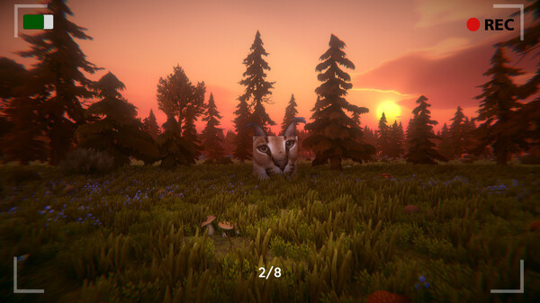 Игра Floppa: The Dark Forest, скриншот