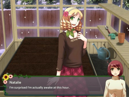 Игра Flower Shop: Winter In Fairbrook, скриншот
