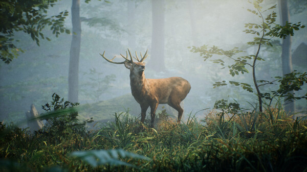 Игра Folklore Hunter, скриншот
