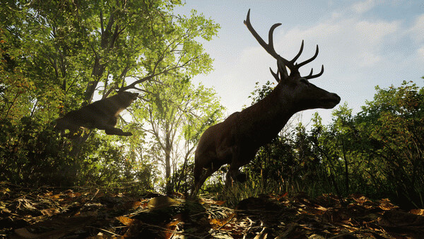 Игра Forest Doesn’t Care, скриншот