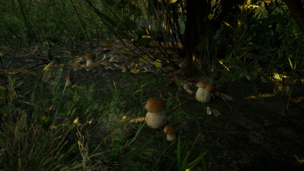 Игра Forest Doesn’t Care, скриншот