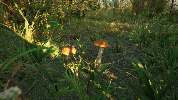 Игра Forest Doesn’t Care, скриншот