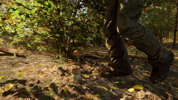 Игра Forest Doesn’t Care, скриншот