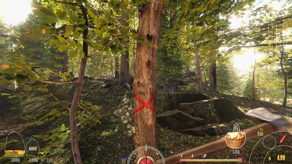 Игра Forest Ranger Simulator, скриншот