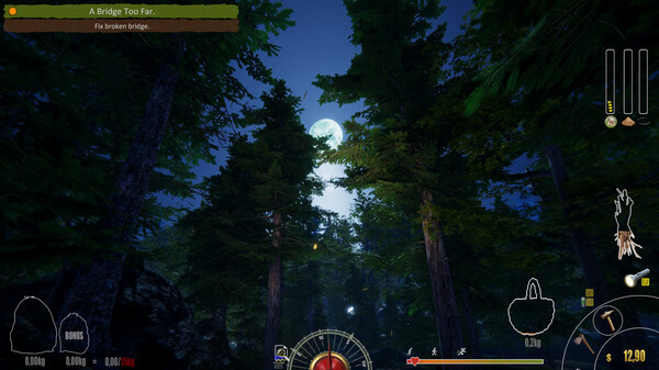 Игра Forest Ranger Simulator, скриншот