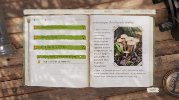 Игра Forest Ranger Simulator, скриншот