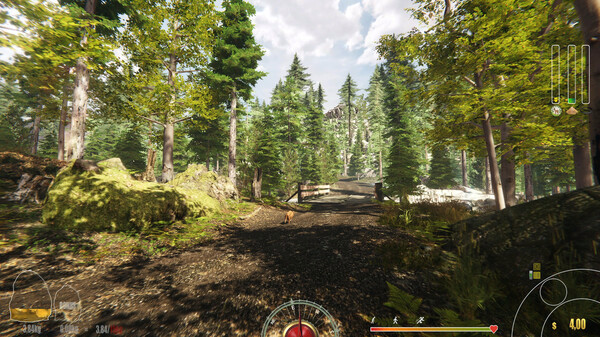 Игра Forest Ranger Simulator, скриншот
