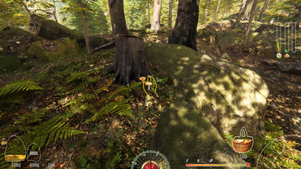 Игра Forest Ranger Simulator, скриншот