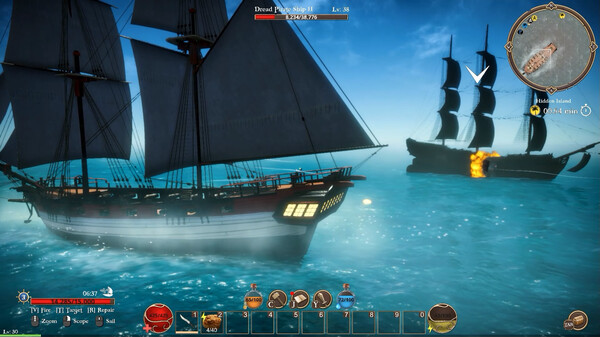 Игра Forgotten Seas, скриншот