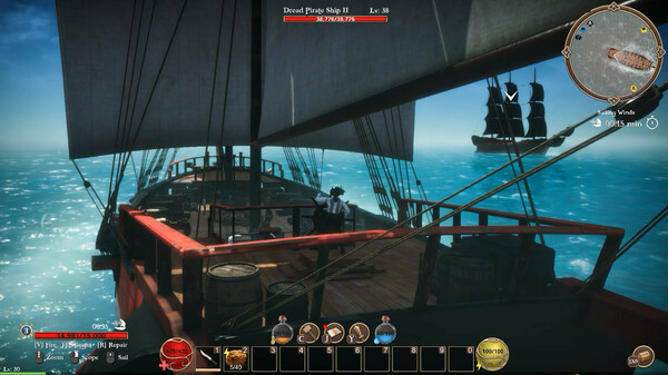 Игра Forgotten Seas, скриншот