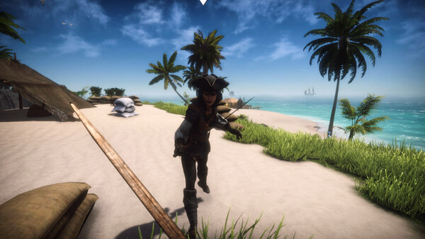 Игра Forgotten Seas, скриншот