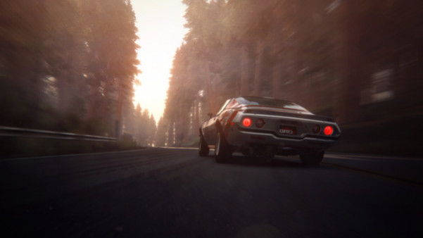 Игра GRID 2, скриншот