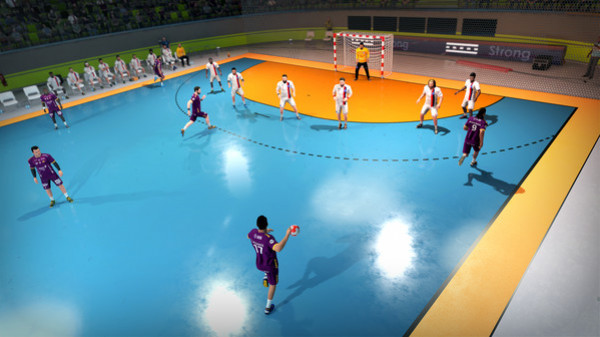 Игра Handball 21, скриншот