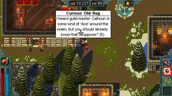 Игра Heroes of Hammerwatch, скриншот