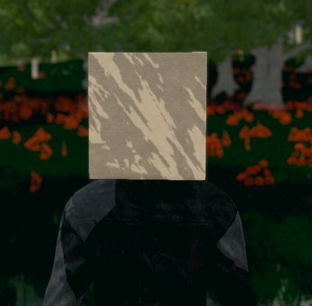 Игра Hide and Seek - Box Head, скриншот