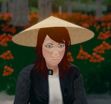 Игра Hide and Seek - Rice Hat, скриншот