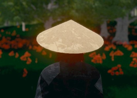 Игра Hide and Seek - Rice Hat, скриншот