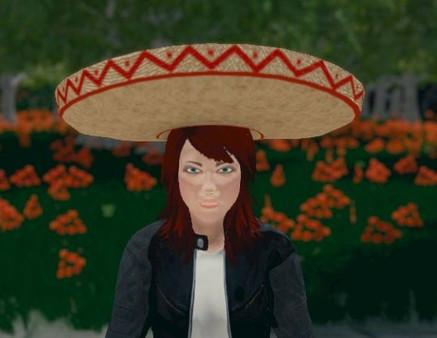 Игра Hide and Seek - Sombrero, скриншот