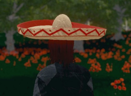 Игра Hide and Seek - Sombrero, скриншот