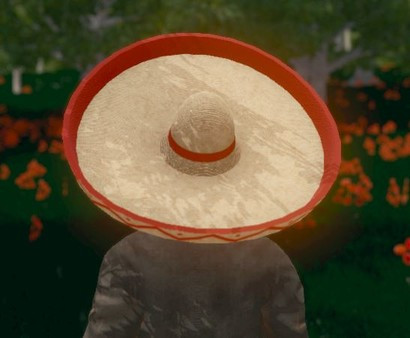 Игра Hide and Seek - Sombrero, скриншот