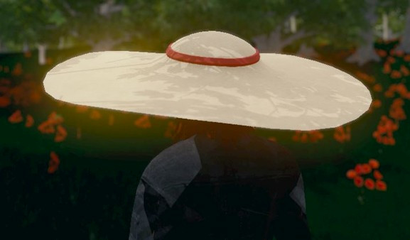 Игра Hide and Seek - Sun Hat, скриншот