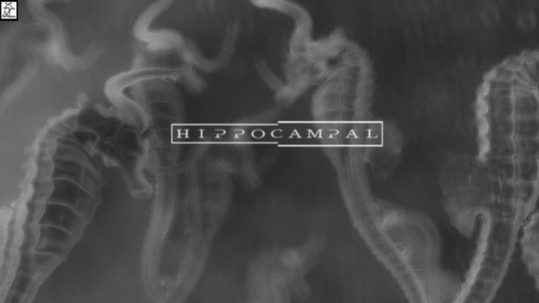 Игра Hippocampal: The White Sofa, скриншот