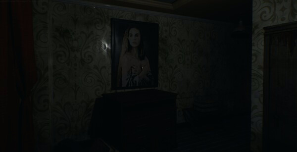 Игра Hotel in the Dark, скриншот