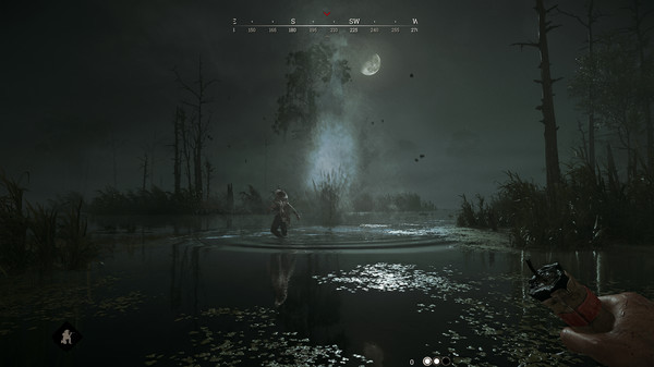 Игра Hunt: Showdown, скриншот