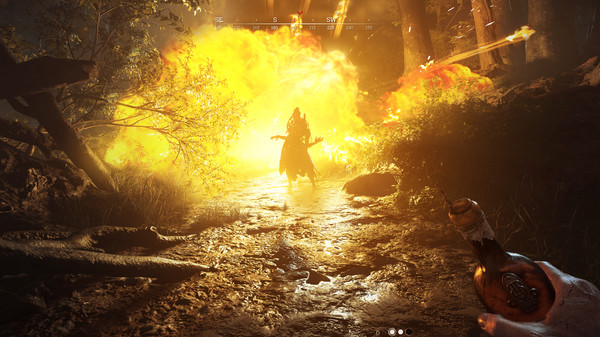 Игра Hunt: Showdown, скриншот