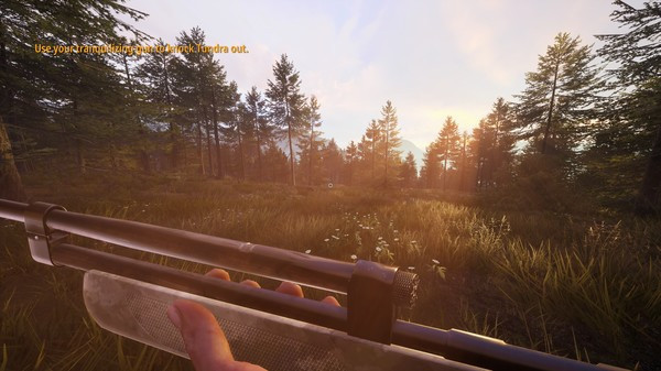 Игра Hunting Simulator 2: A Ranger's Life, скриншот