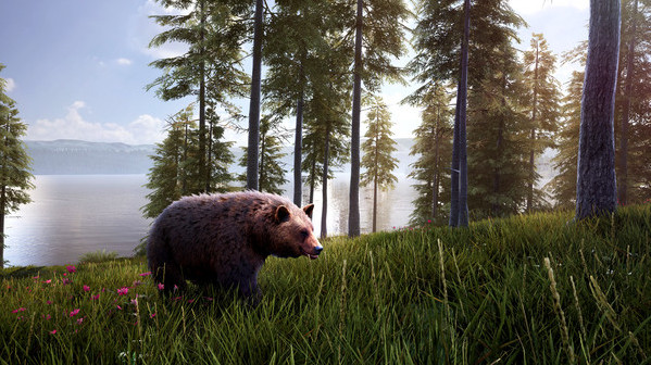 Игра Hunting Simulator 2 Bear Hunter Pack, скриншот