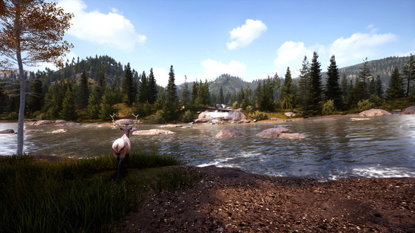Игра Hunting Simulator 2 Bear Hunter Pack, скриншот