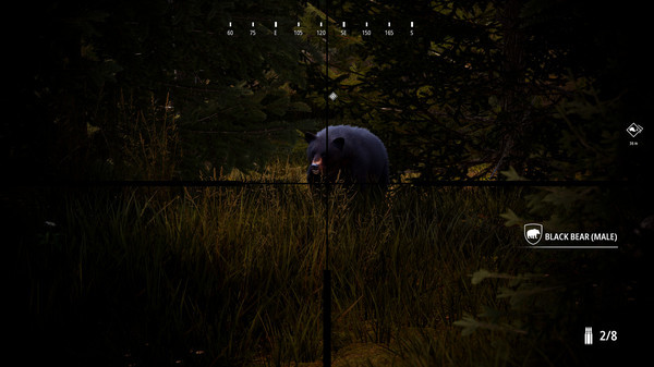 Игра Hunting Simulator 2 Bear Hunter Pack, скриншот