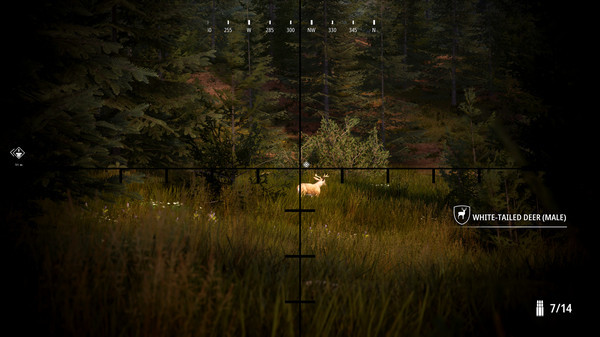 Игра Hunting Simulator 2, скриншот