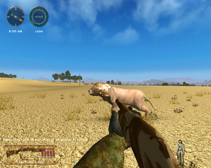Игра Hunting Unlimited 2010, скриншот
