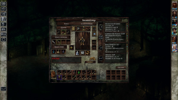 Игра Icewind Dale: Enhanced Edition, скриншот