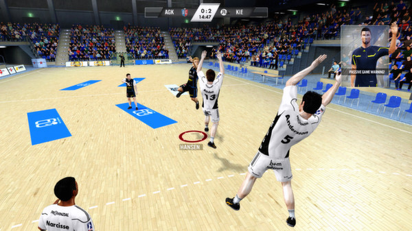 Игра IHF Handball Challenge 12, скриншот