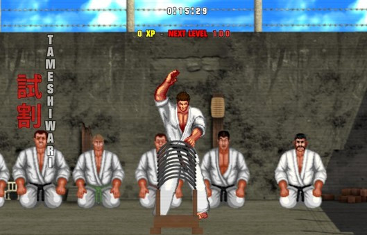 Игра Karate Master 2 Knock Down Blow, скриншот