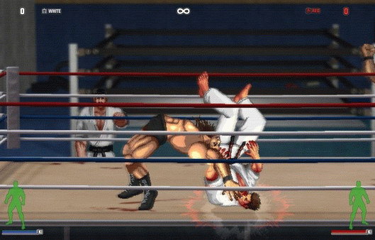 Игра Karate Master 2 Knock Down Blow, скриншот