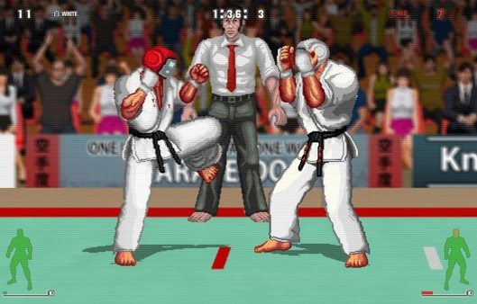 Игра Karate Master 2 Knock Down Blow, скриншот