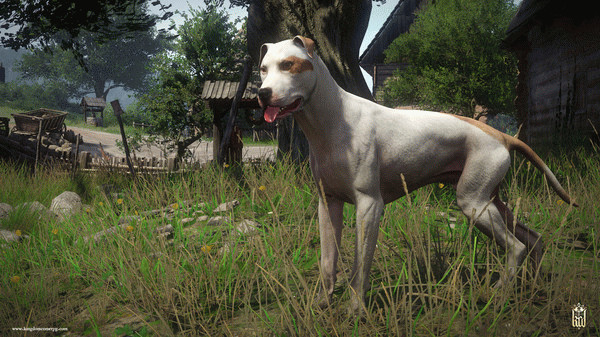 Игра Kingdom Come: Deliverance – A Woman's Lot, скриншот