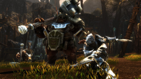 Игра Kingdoms of Amalur: Re-Reckoning, скриншот