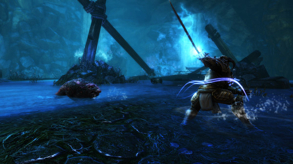 Игра Kingdoms of Amalur: Re-Reckoning, скриншот