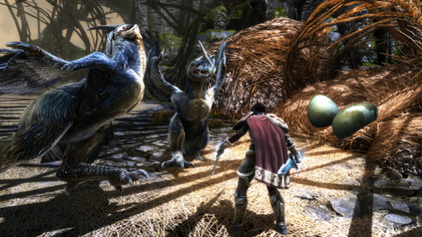 Игра Kingdoms of Amalur: Re-Reckoning, скриншот