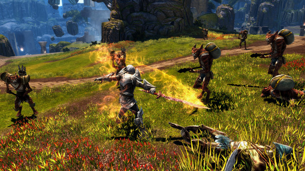 Игра Kingdoms of Amalur: Re-Reckoning, скриншот