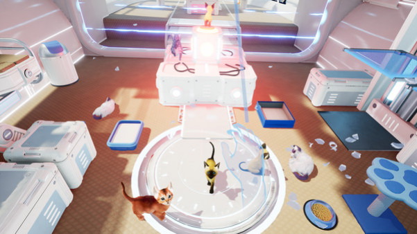 Игра Kitten'd, скриншот