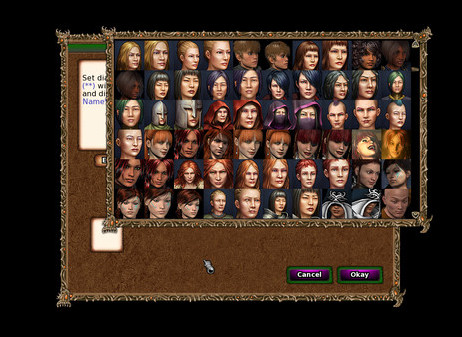 Игра Knights of the Chalice 2, скриншот